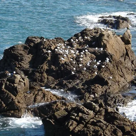 T2 ,parking Prive,terrasse, 10 Mns A Pieds De La Cite Corsaire Et Ses Plages Saint-Malo