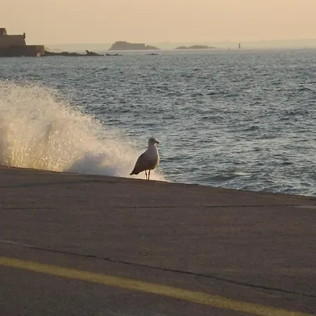 T2 ,parking Prive,terrasse, 10 Mns A Pieds De La Cite Corsaire Et Ses Plages * Saint-Malo